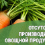 Об отсутствии производителя овощной продукции «ООО «Вита». - Катайский муниципальный округ