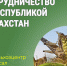 Подразделения Курганского филиала Россельхозцентра подписали соглашения о сотрудничестве с Республикой Казахстан. - Катайский муниципальный округ