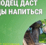Колодец даст воды напиться. - Катайский муниципальный округ